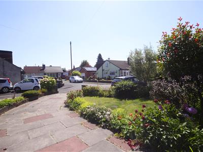 Picture 20